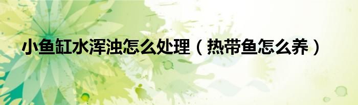 小魚缸水渾濁怎么處理（熱帶魚怎么養(yǎng)）