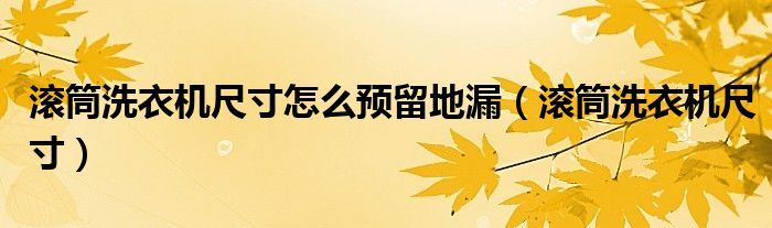 滾筒洗衣機(jī)尺寸怎么預(yù)留地漏（滾筒洗衣機(jī)尺寸）