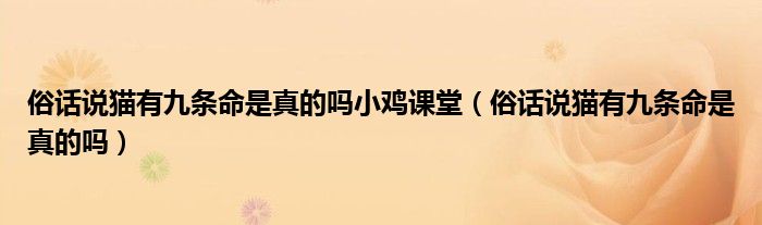 俗話說貓有九條命是真的嗎小雞課堂（俗話說貓有九條命是真的嗎）