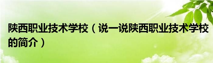 陜西職業(yè)技術(shù)學(xué)校（說一說陜西職業(yè)技術(shù)學(xué)校的簡介）