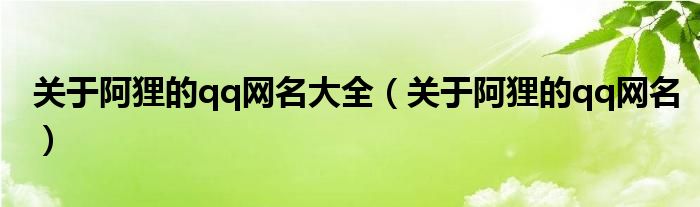 關(guān)于阿貍的qq網(wǎng)名大全（關(guān)于阿貍的qq網(wǎng)名）