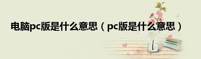 電腦pc版是什么意思（pc版是什么意思）