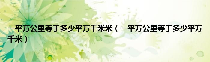一平方公里等于多少平方千米米（一平方公里等于多少平方千米）