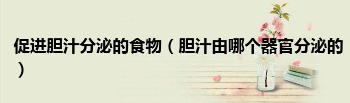 促進(jìn)膽汁分泌的食物（膽汁由哪個(gè)器官分泌的）
