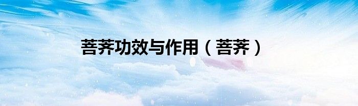 菩薺功效與作用（菩薺）