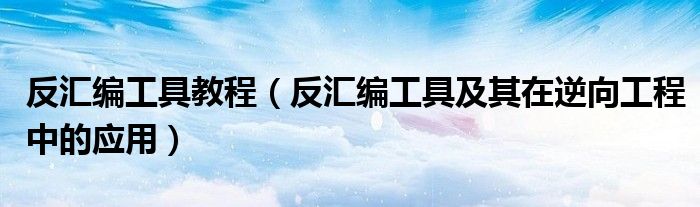 反匯編工具教程（反匯編工具及其在逆向工程中的應用）