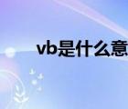 vb是什么意思飯圈（vb是什么意思）