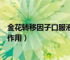 金花轉(zhuǎn)移因子口服液的作用與功效（轉(zhuǎn)移因子口服液有什么作用）