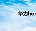 華為honor60（華為honor）