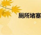 廁所堵塞最快的疏通方法（廁）