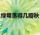 綠萼落得幾瓣秋 小說簡(jiǎn)介（綠萼落得幾瓣秋）