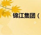 錦江集團（說一說錦江集團的簡介）