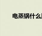 電蒸鍋什么牌子好 家庭用（電蒸鍋）