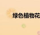 綠色植物花卉名字（綠色植物花卉）