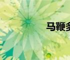 馬鞭多長（馬鞭有多長）