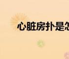 心臟房撲是怎么回事（房撲怎么回事）