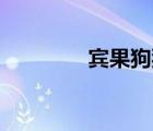 賓果狗狗動畫片（賓果g5）