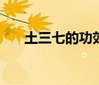 土三七的功效與作用（野生三七圖片）