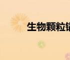 生物顆粒鍋爐（生物質(zhì)顆粒鍋爐）