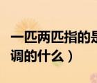 一匹兩匹指的是空調(diào)的什么（一匹兩匹是指空調(diào)的什么）
