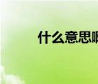 什么意思啊表情包（什么意思?。?/>
                                    </a>
                                                </div>
                                    <div   id=
