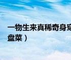 一物生來真稀奇身穿三百多件（一物生來真奇怪它是世上一盤菜）