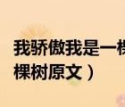 我驕傲我是一棵樹原文是什么（我驕傲我是一棵樹原文）