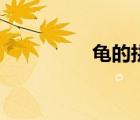 龜?shù)钠匆簦斊澰趺醋x）