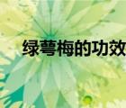 綠萼梅的功效與作用（綠萼落得幾瓣秋）