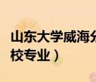 山東大學(xué)威海分校專業(yè)評級（山東大學(xué)威海分校專業(yè)）