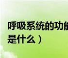 呼吸系統(tǒng)的功能是什么九上（呼吸系統(tǒng)的功能是什么）