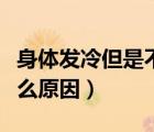 身體發(fā)冷但是不發(fā)燒怎么回事（身體發(fā)冷是什么原因）