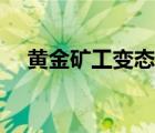 黃金礦工變態(tài)版雙人（黃金礦工變態(tài)版）