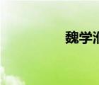 魏學(xué)洢代表作（魏學(xué)洢）