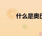 什么是奧氏體不銹鋼（奧氏體鋼）