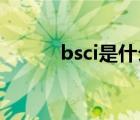 bsci是什么意思（BSCI是什么）