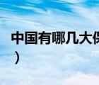 中國有哪幾大保險(xiǎn)公司（中國保險(xiǎn)公司有哪些）
