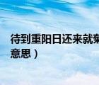 待到重陽日還來就菊花的意思是（待到重陽日還來就菊花的意思）