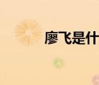廖飛是什么電視劇人物（廖飛）