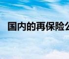 國內(nèi)的再保險公司（國內(nèi)再保險公司排名）