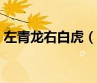 左青龍右白虎（說一說左青龍右白虎的簡介）