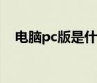 電腦pc版是什么意思（pc版是什么意思）