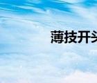 薄技開頭的四字成語（薄技）