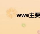 wwe主要人物（wwe人物介紹）