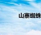 山寨蜘蛛俠推薦（山寨蜘蛛俠）
