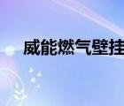 威能燃氣壁掛爐f.28（威能燃氣壁掛爐）