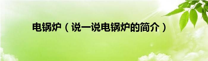 電鍋爐（說一說電鍋爐的簡介）