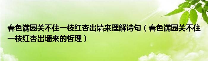 春色滿園關不住一枝紅杏出墻來理解詩句（春色滿園關不住一枝紅杏出墻來的哲理）