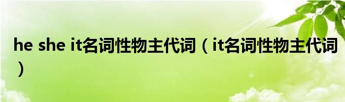 he she it名詞性物主代詞（it名詞性物主代詞）
