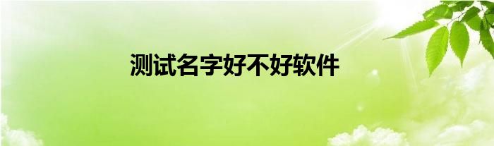 測試名字好不好軟件